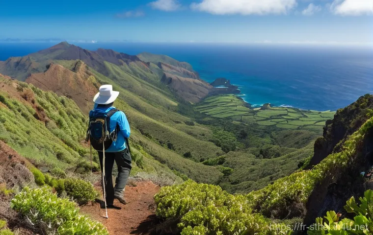 세인트헬레나 단기 체류 방법 - **Prompt:** A vibrant, panoramic view of Jamestown, Saint Helena, at sunset. The iconic Jacob's Ladd...