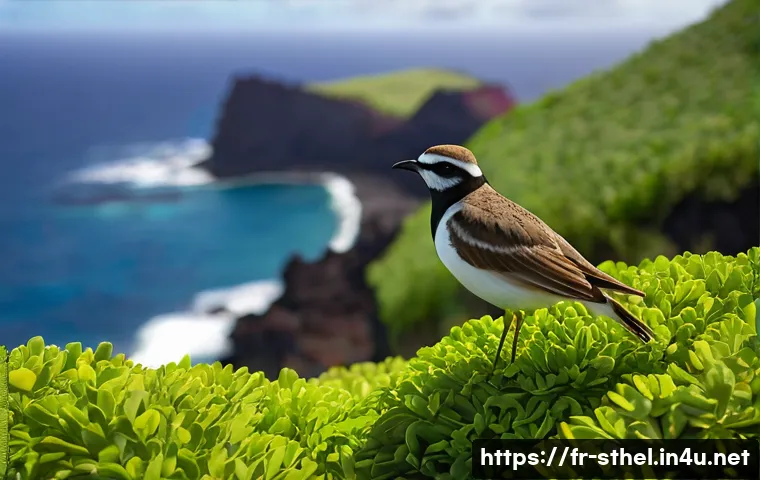 세인트헬레나 역사적 인물들의 발자취 관련 이미지 1