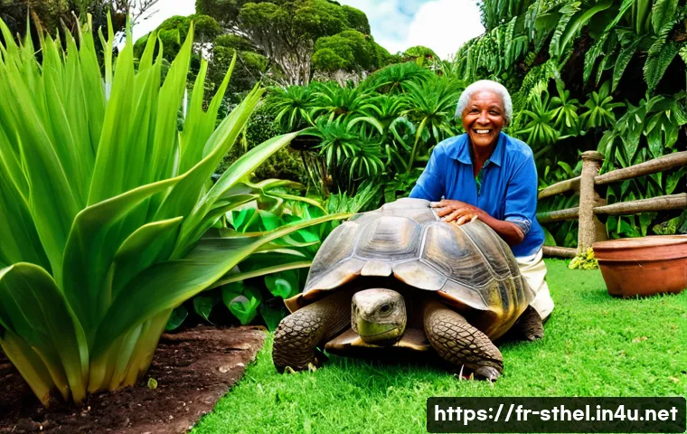 세인트헬레나 역사적 인물들의 발자취 관련 이미지 2