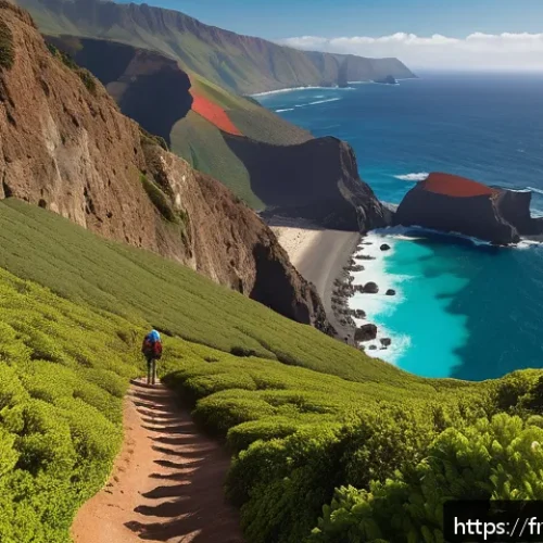Home 32 세인트헬레나 트레킹 코스 - A breathtaking coastal hiking trail along the rugged cliffs of Saint Helena, featuring steep rocky e...