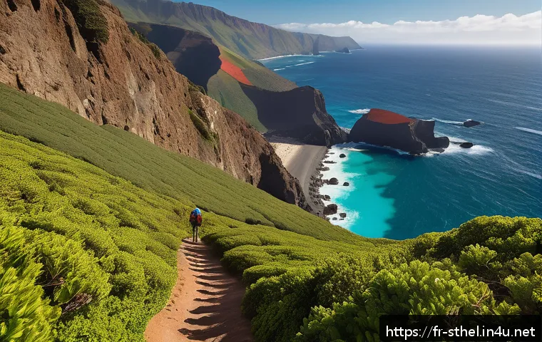 세인트헬레나 트레킹 코스 - A breathtaking coastal hiking trail along the rugged cliffs of Saint Helena, featuring steep rocky e...