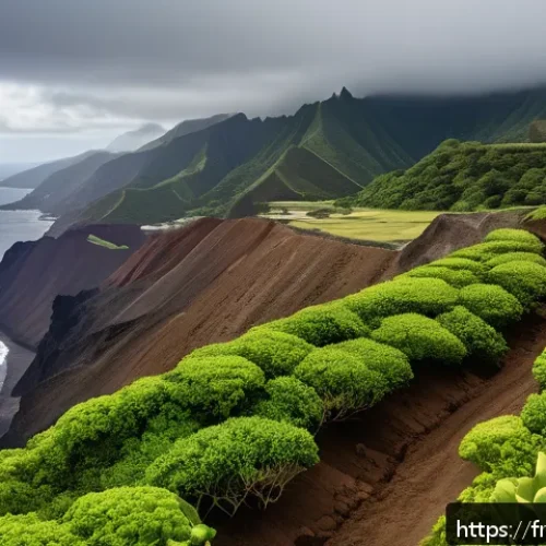 Home 30 세인트헬레나 기후 변화 영향 - A detailed landscape of Saint Helena’s coastal cliffs showing accelerated soil erosion: steep, rugge...