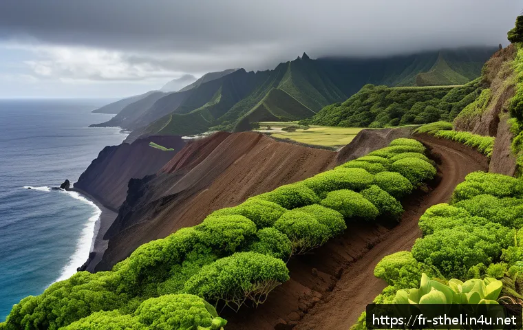 세인트헬레나 기후 변화 영향 - A detailed landscape of Saint Helena’s coastal cliffs showing accelerated soil erosion: steep, rugge...