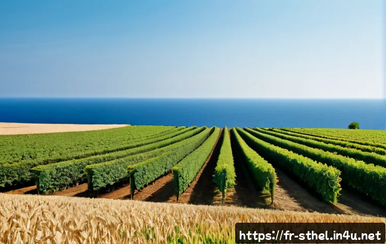 Importer ou exporter avec Sainte-Hélène : coûts logistiques, douane et critères de choix 4 세인트헬레나 무역 및 수출입 관련 이미지 2